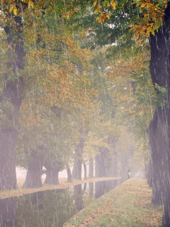 20120312144215-0120.gif